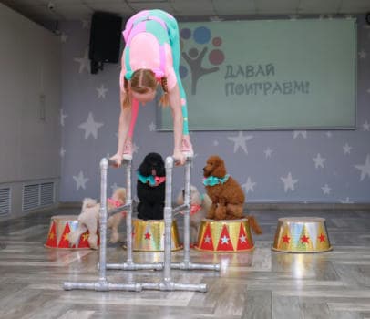 Шоу дрессированных пуделей и голубей - фото услуги для детского праздника в Находке - фото 10